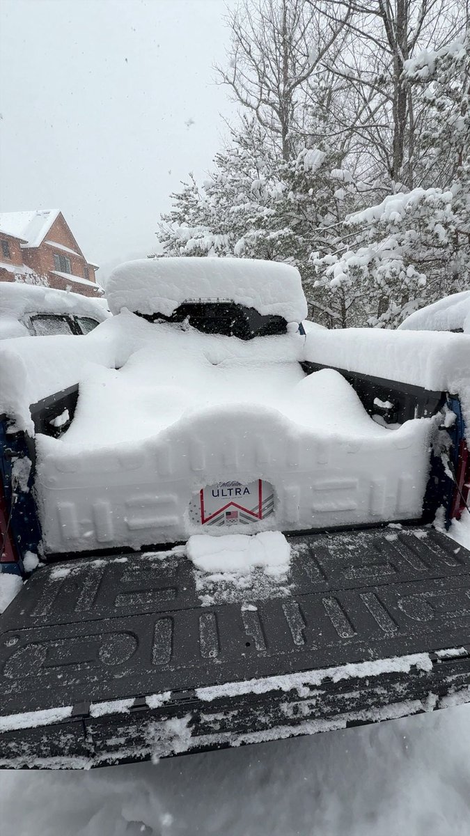 Brick Bowser tweet media