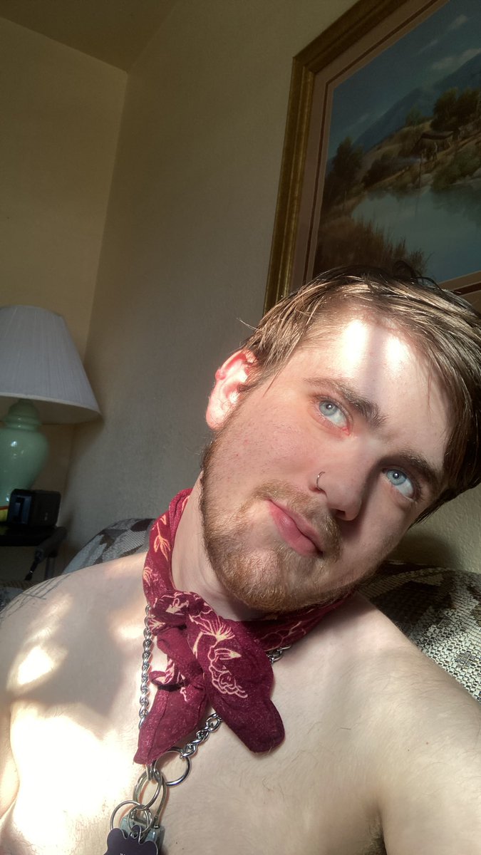 puppylavande's tweet photo. it’s saturday and the suns just right. how are you spending your saturday? https://t.co/T3TGR8DYSt