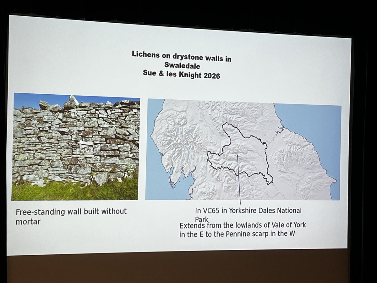The British Lichen Society tweet media
