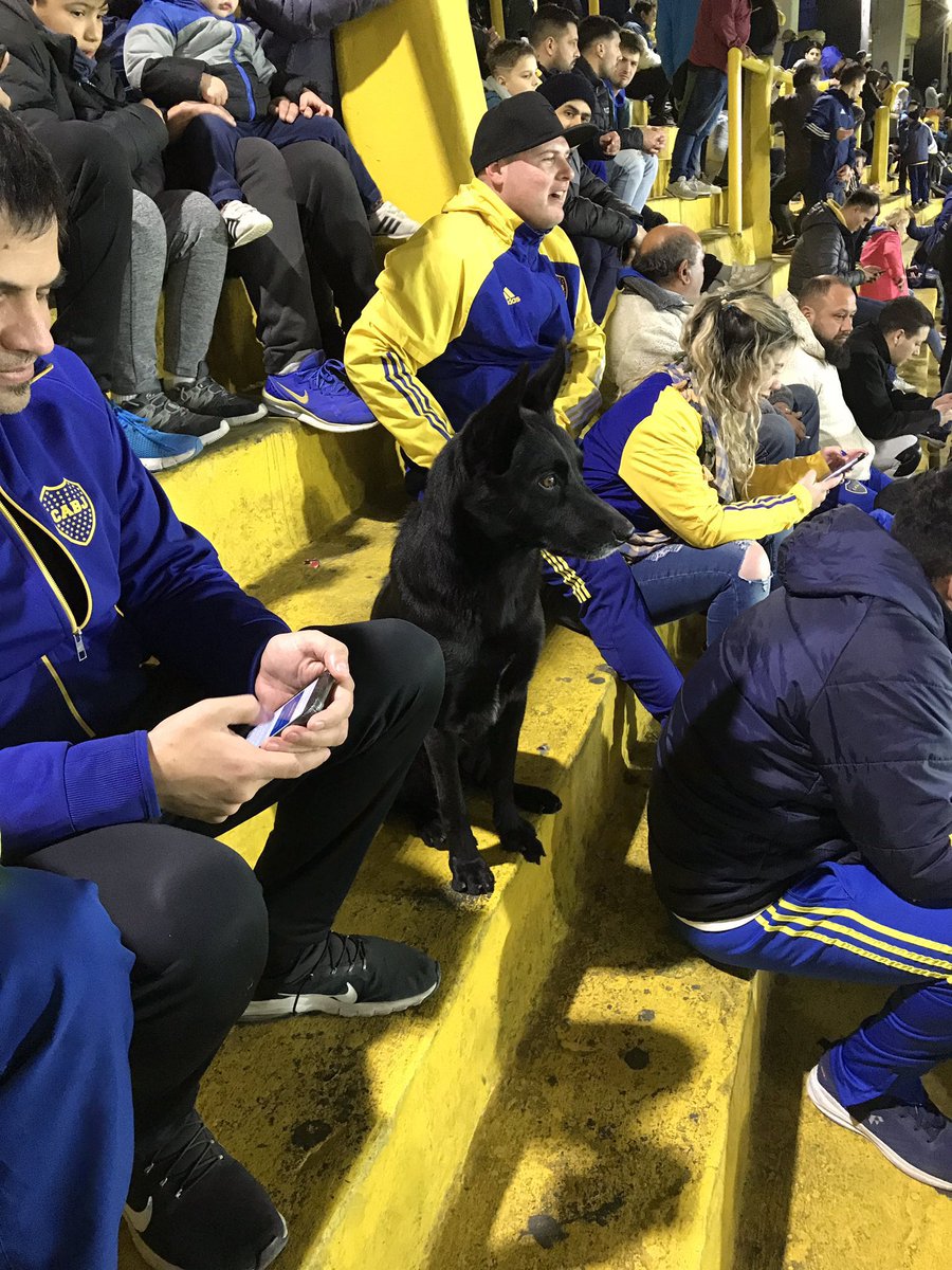 Te quiero mucho perrito que va a ver a Boquita 🥹💙💛