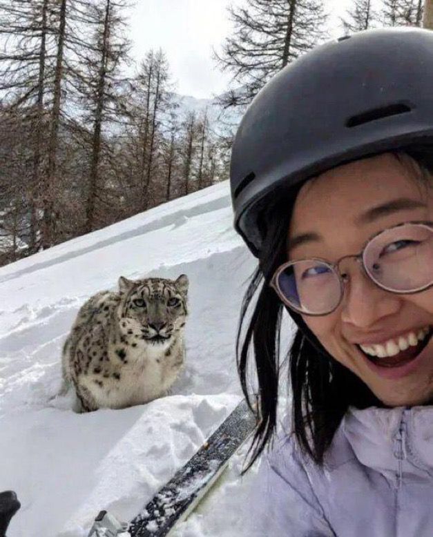 Mexico_NewsMX's tweet photo. 🇨🇳😱 Difunden la selfie previa al ataque: una mujer fue mordida en el rostro por un leopardo de las nieves en China.
⛷️📸 Esquiaba y se acercó demasiado para una foto… segundos después, el felino se abalanzó.
🚨 Recordatorio brutal: la vida salvaje NO es un fondo de selfie. 🐆⚠️
🔥👀