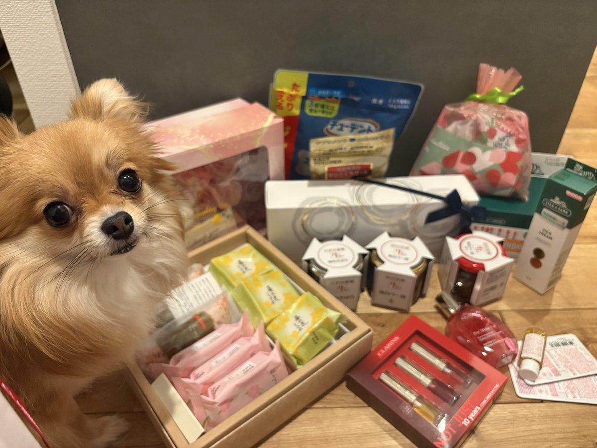 差し入れありがとう撮りたかったのにチルにピント合った笑笑 即冷やしちゃったスパークリングたち入れそびれたのも後悔🥲 https://t.co/Z3q38cUO5F