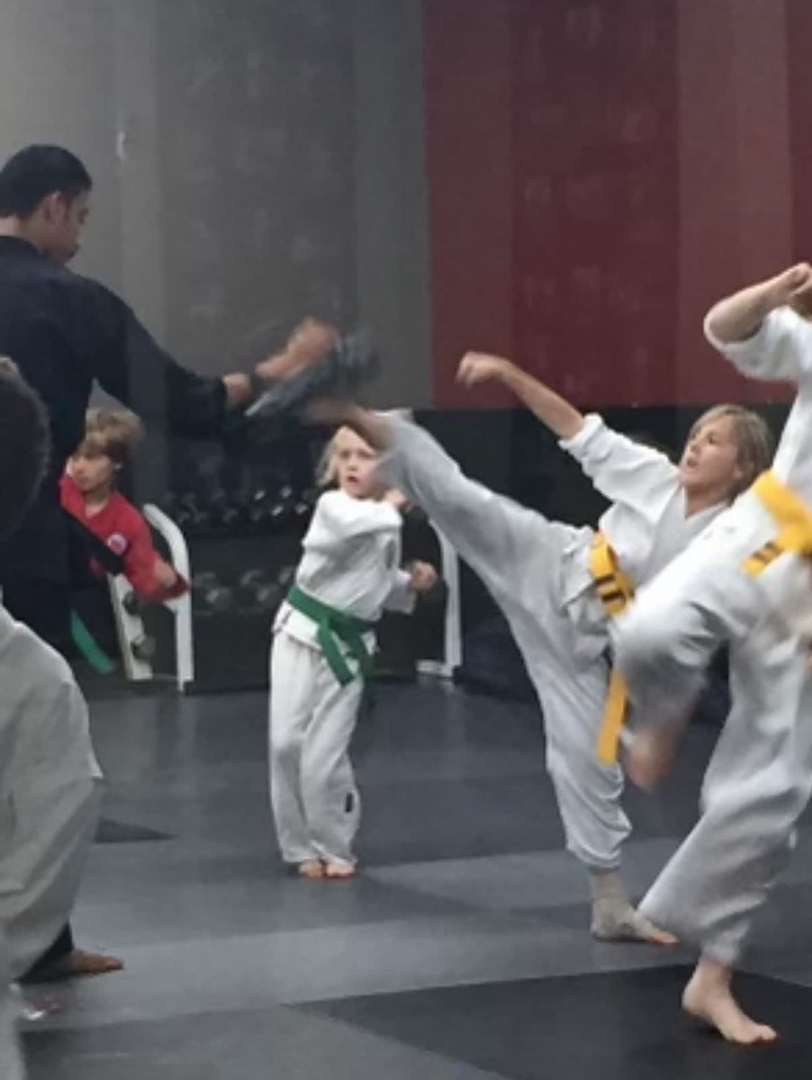 William & Mary Tribe Volleyball tweet media