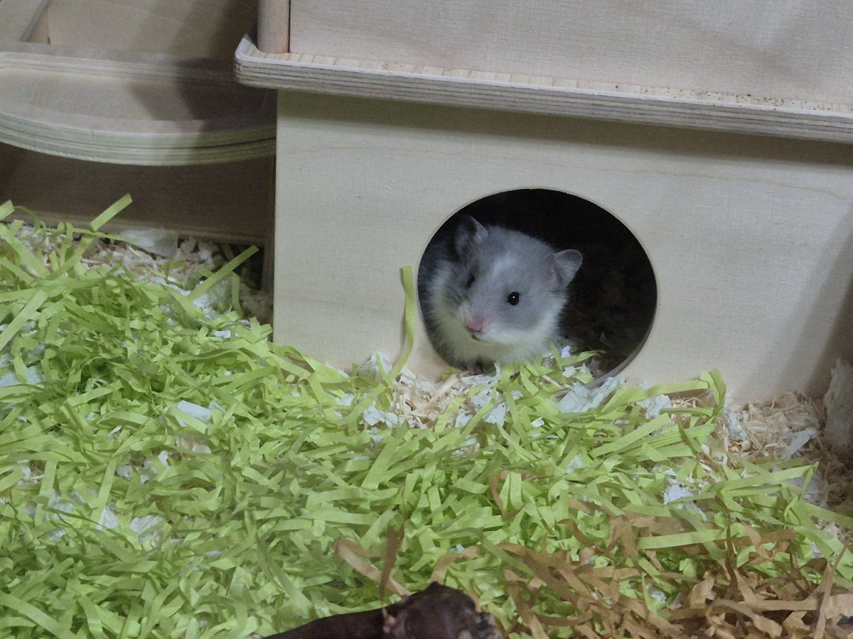 룬쮸 🍀 tweet media