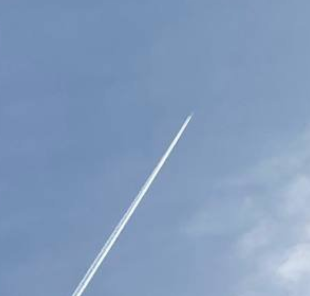 ZeroGott tweet media