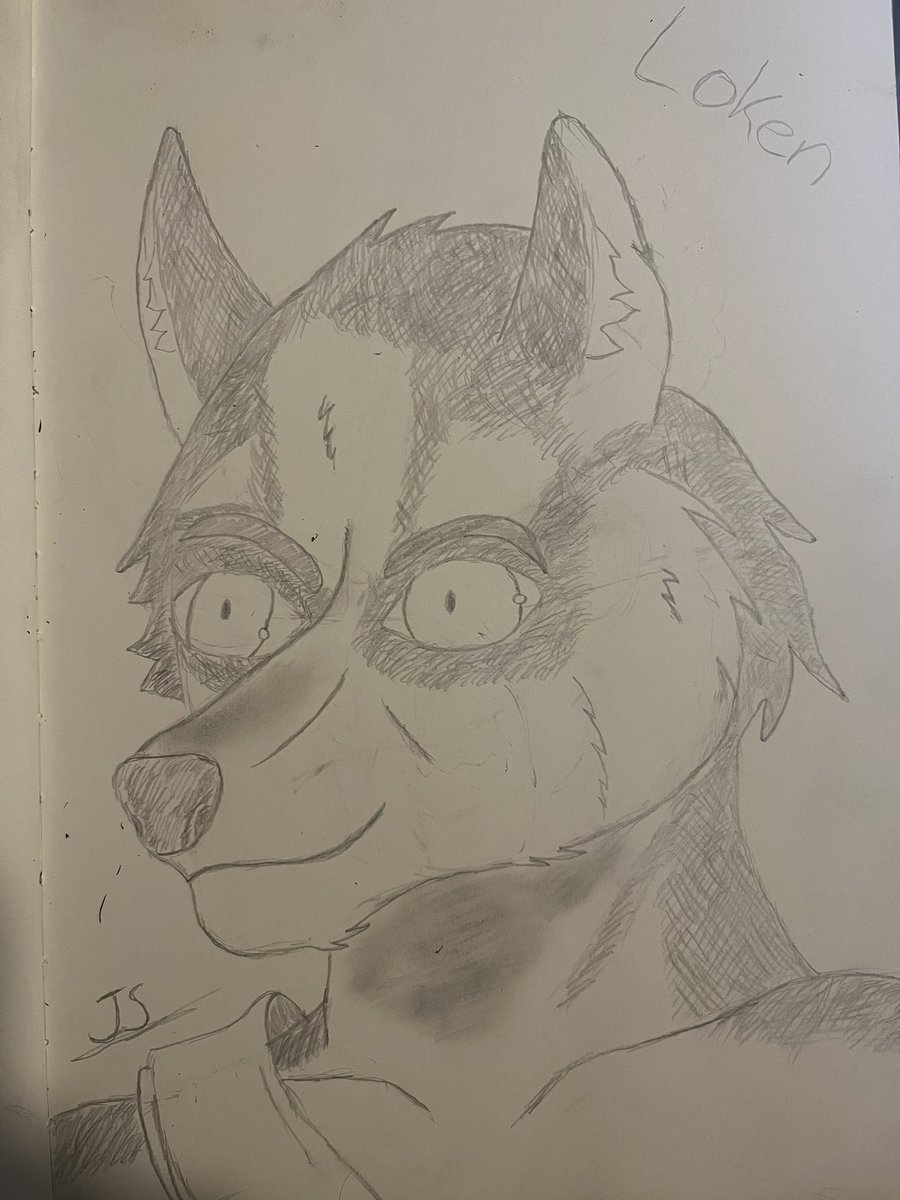 ShadowWolfJake's tweet photo. Got a little inspired so I made a sketch of Loken from my favorite visual novel Soulcreek made by @SoulcreekVN 
#soulcreekvn #furrysketch https://t.co/sRJHgO8659