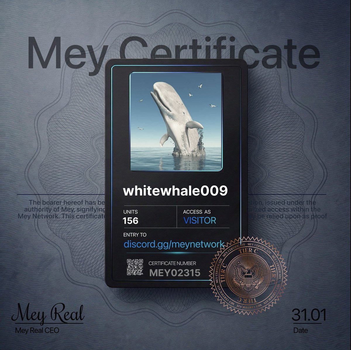 White whale base.eth (@WhiteWhale0002) / Posts / X