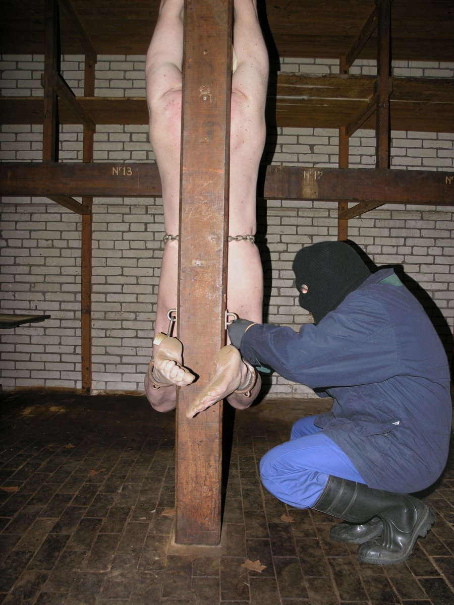 NoWayOut tweet media