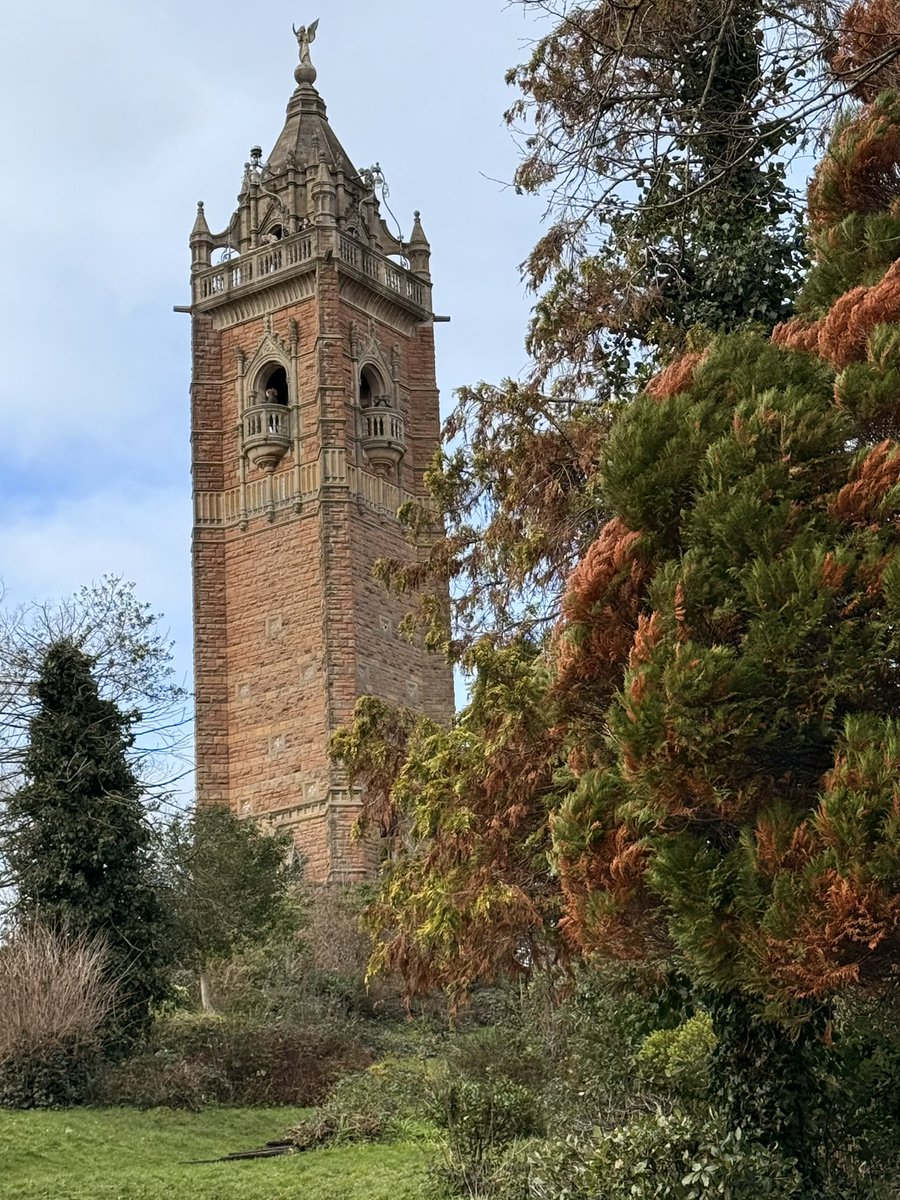 Samantha Hill 💙💛 tweet media