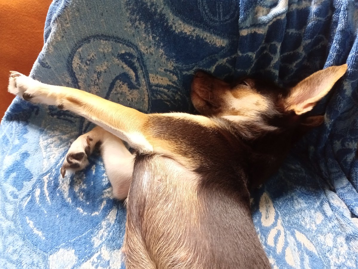 Ellie 🇲🇽 tweet media