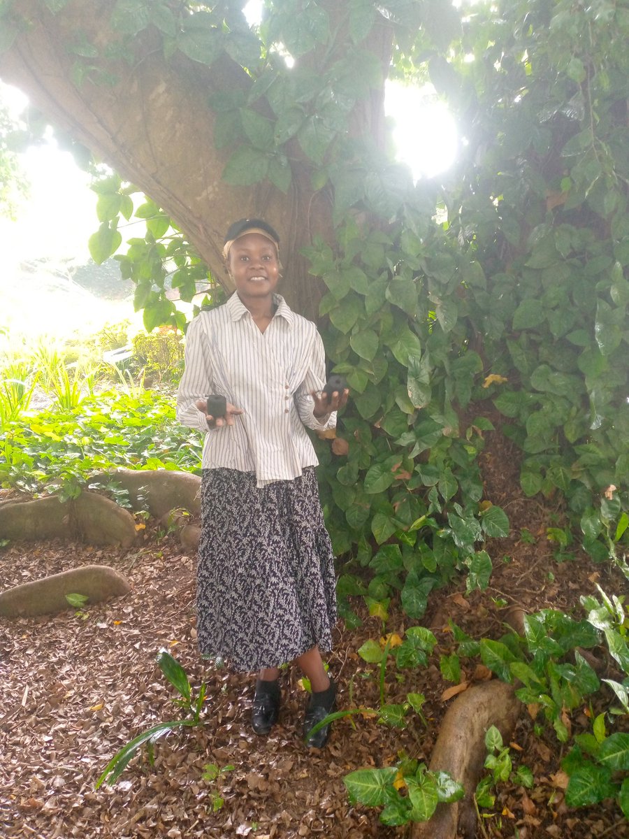allen_namwase's tweet image. Hello to you all, well done in whichever work you have done today, and to those who are still at work or just turning up for work, for night shift, big up✨.
As we continue enjoying our weekends, using #Briquettes Vs firewood = reduced #Deforestation🌿
Thank!