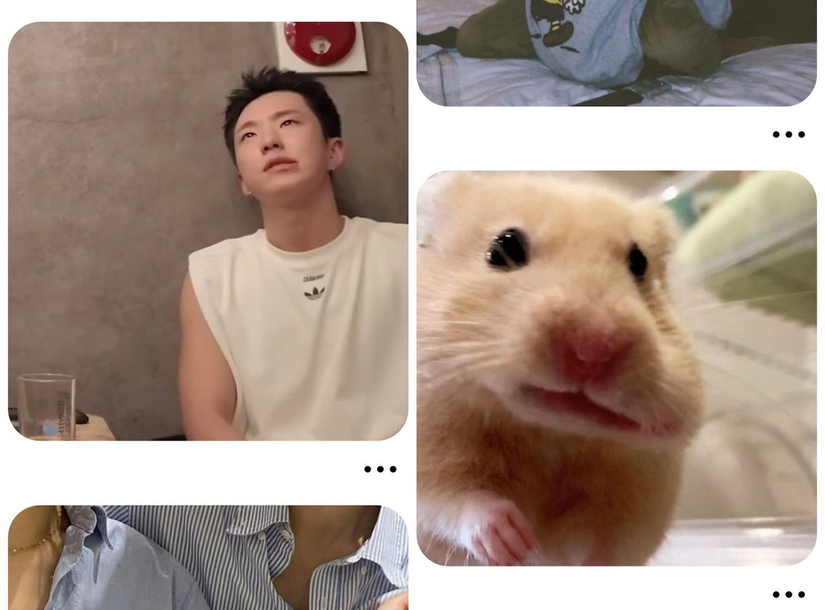soongyu's tweet photo. I SWEAR TO GOD WHY IS MY PINTEREST LIKE THIS LMAOOOOOO HOSHI HAMZZI https://t.co/Ylb6XHApZy