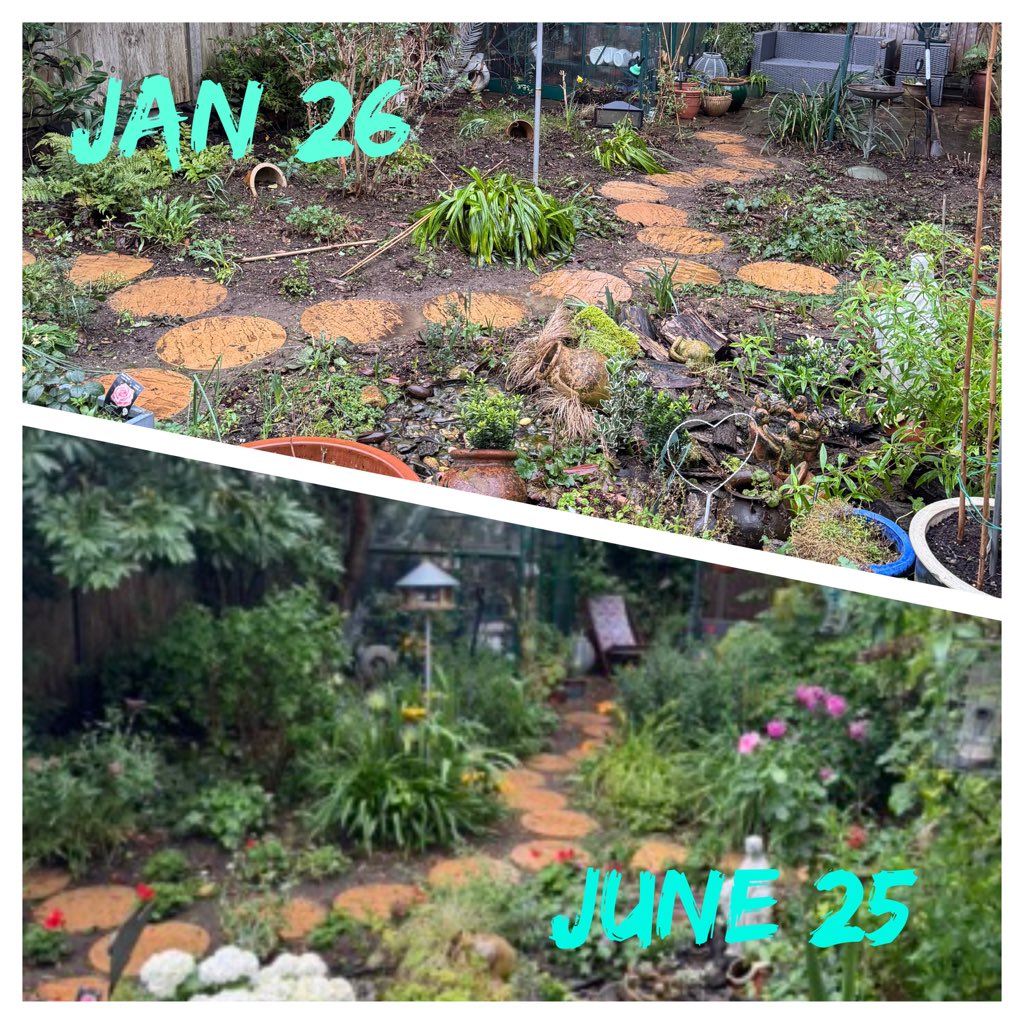 JonWhite 🦩 tweet media