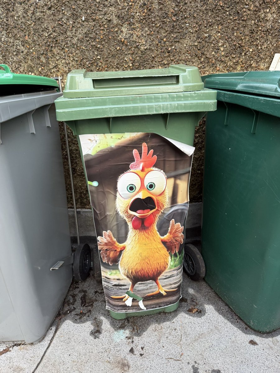 Charlie Stevens tweet media