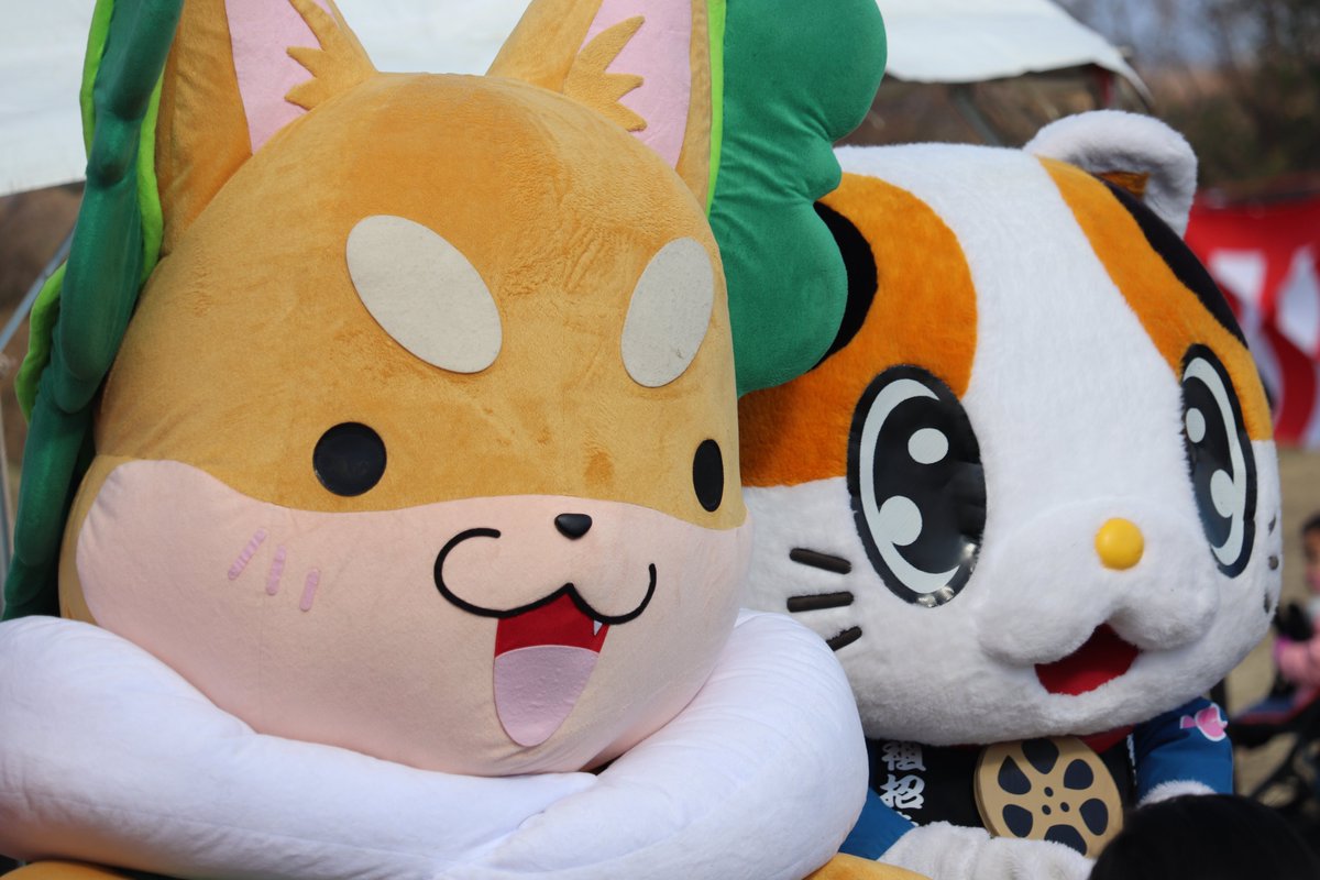 2026年1月の巡回まとめ❔ 現場数: 28 鬼回ししたような気もするし