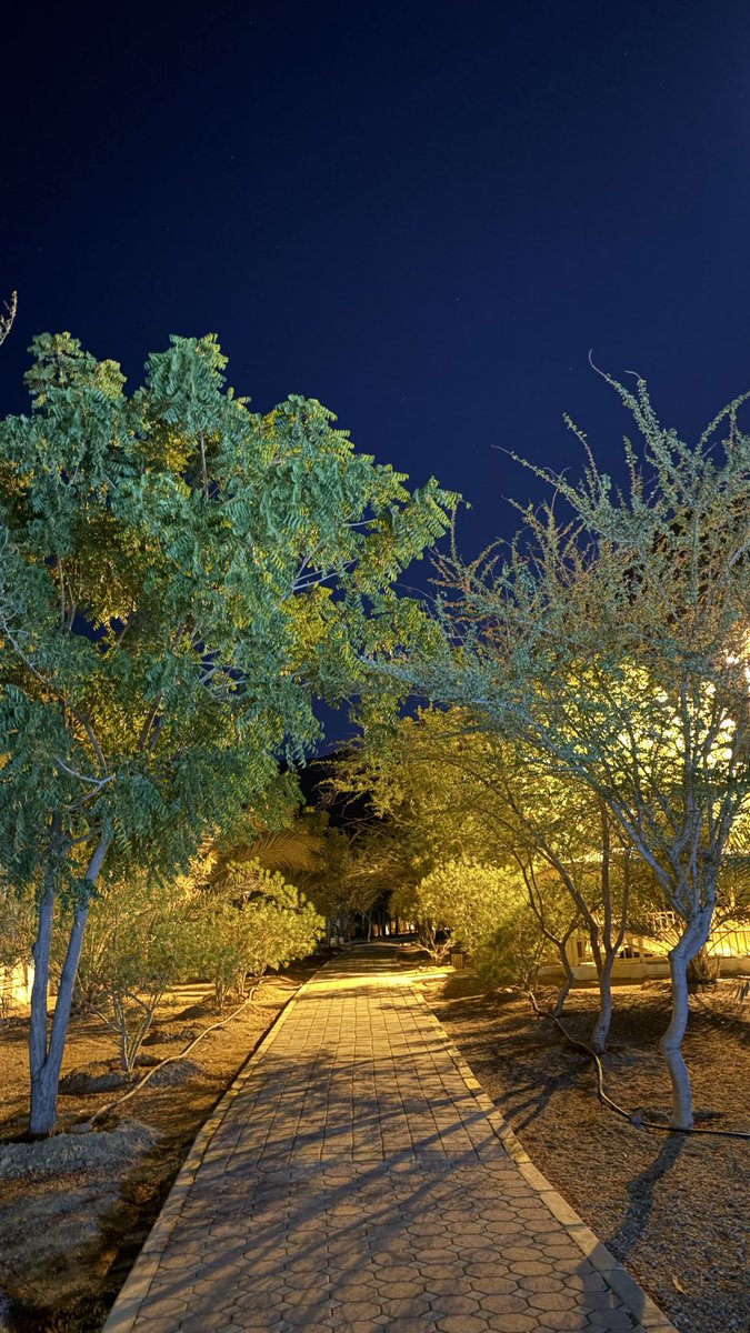 _14yi's tweet image. ✨✨✨