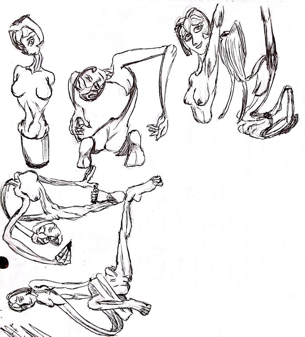 MorphFlex99🇵🇪 tweet media