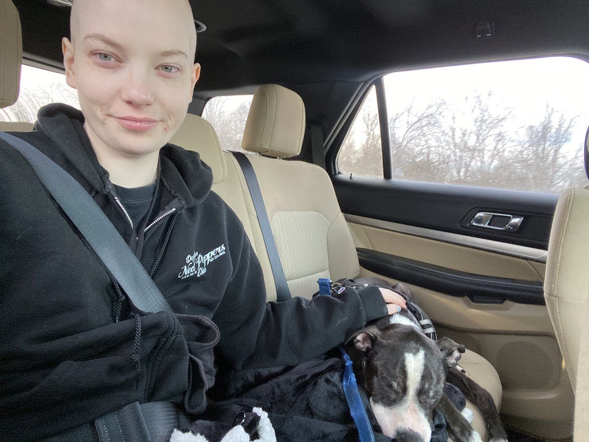 kellyshmo tweet media