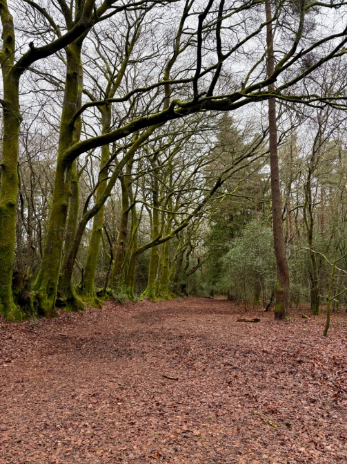 Andrew Bennett tweet media