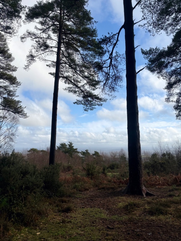 Andrew Bennett tweet media