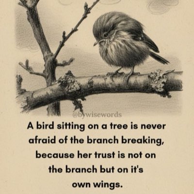 W. Kazadi Mulombo tweet media