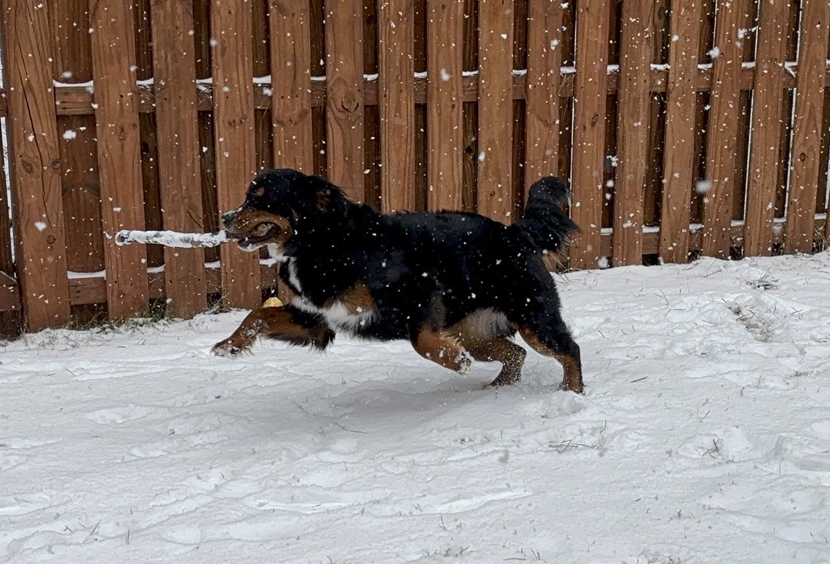 Chuck Fuller tweet media