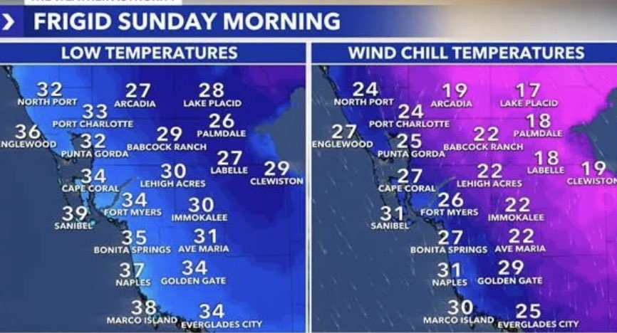 Mike Caprio tweet media