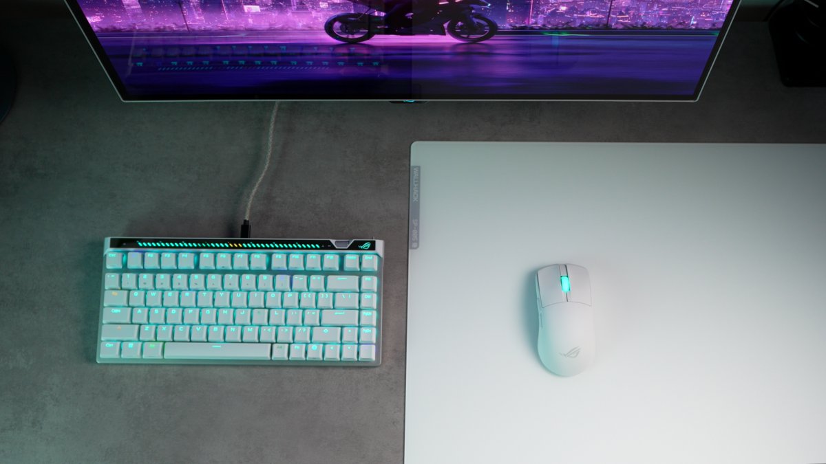 Wasabi (@wasabifriedrice) / Posts / X