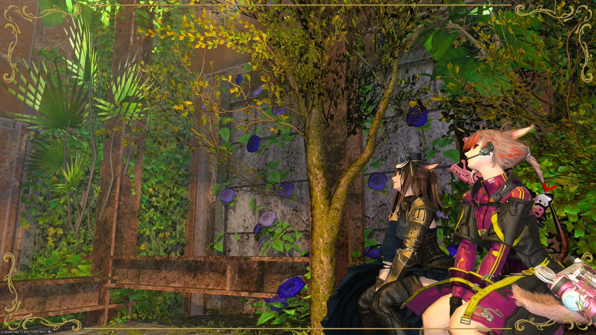 sakura_ff14_322's tweet photo. #sabletabeyo
#MOImetsa
結構撮影するの時間かかる人間なので、色々待たせてしまったけどたくさん撮れて楽しかった～
最後の一枚はジンさんに聞いて教えてもらった賢者抜刀チャレンジ https://t.co/vLyvCHnzDX