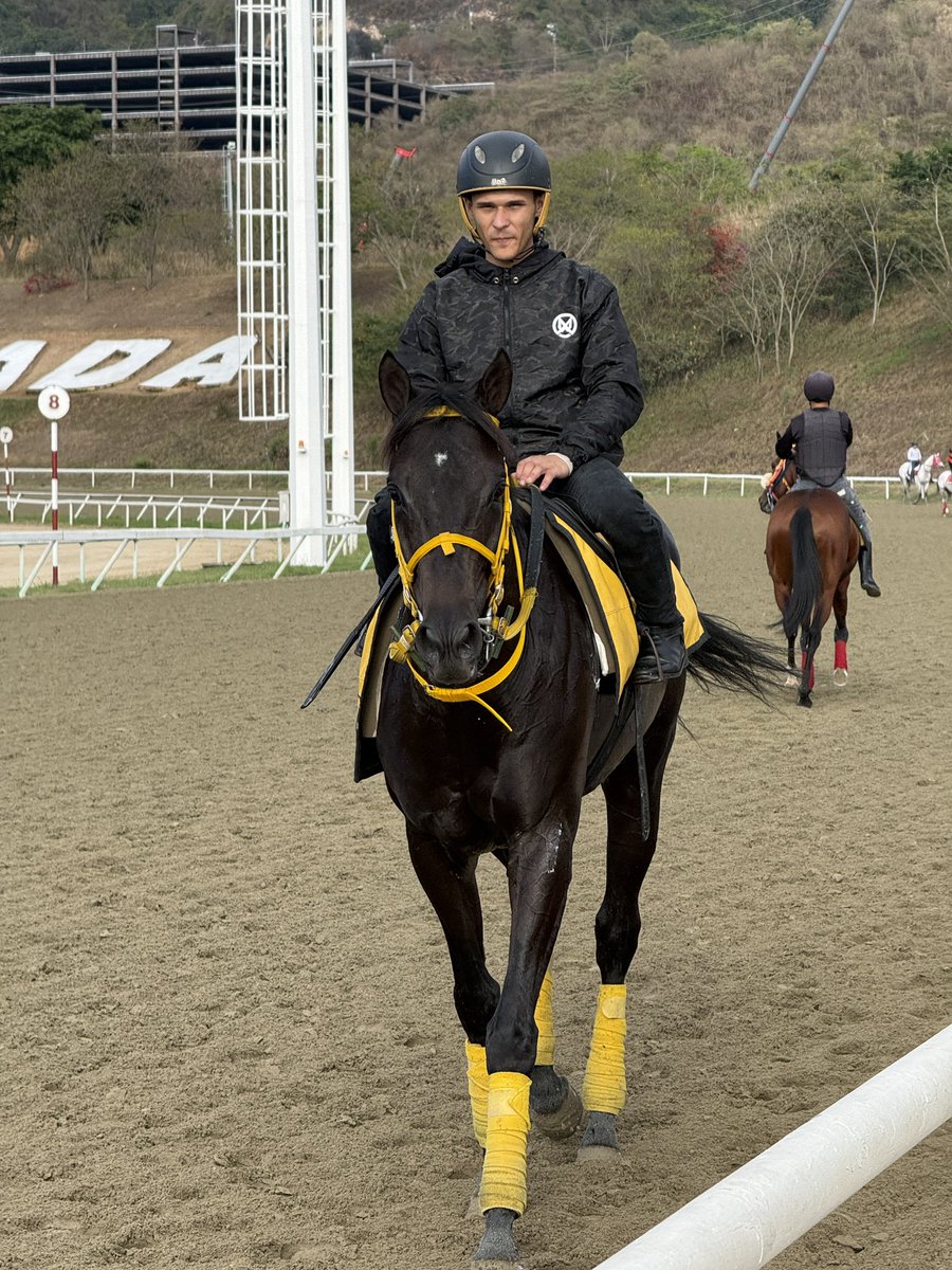 Noel Kucich P tweet media