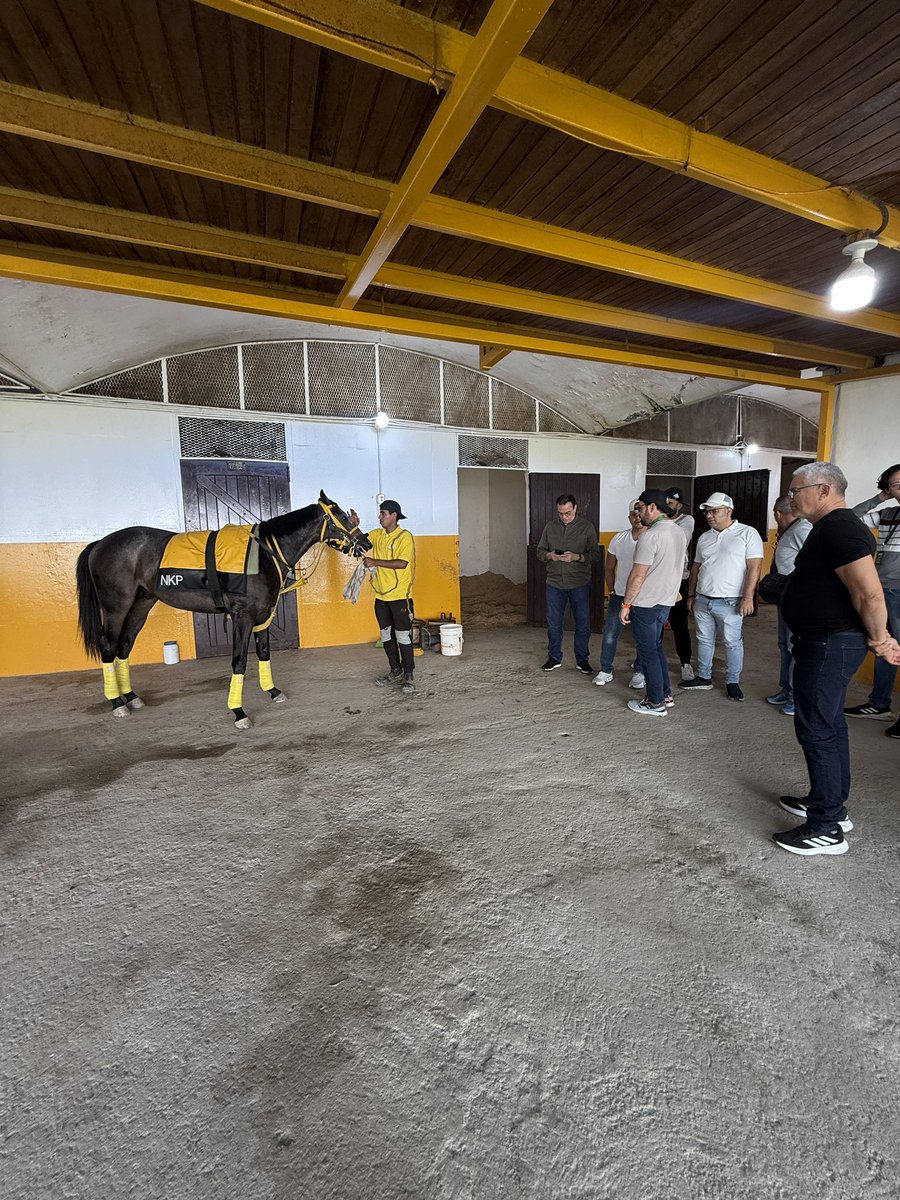 Noel Kucich P tweet media