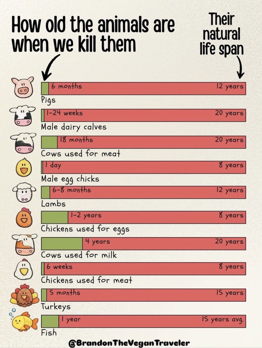 NothingIsArt (@nothingisart) on Twitter photo 