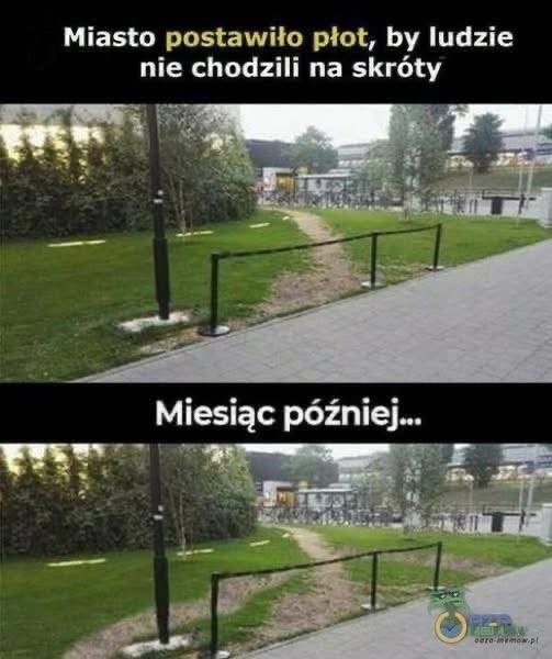 Anna Depukat tweet media