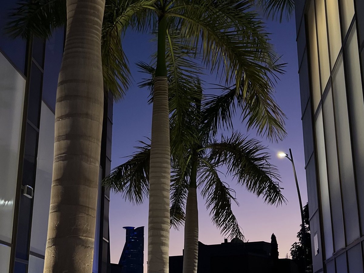 work behind frames ft. <a href="/vesalss/">Vesal</a> ♟️