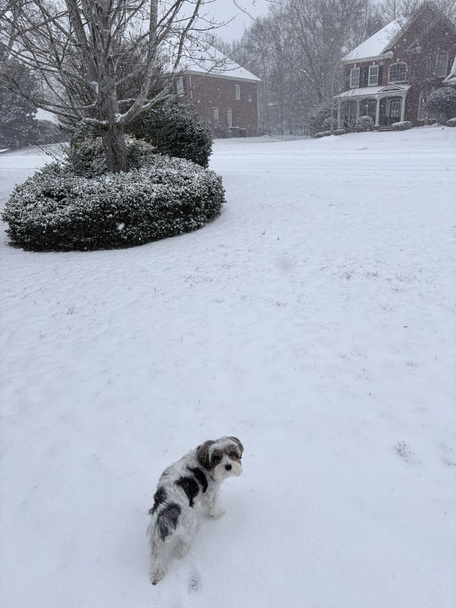 PhillyPhanPearl's tweet image. Good snow in #Waxhaw @JoeBrunoWSOC9