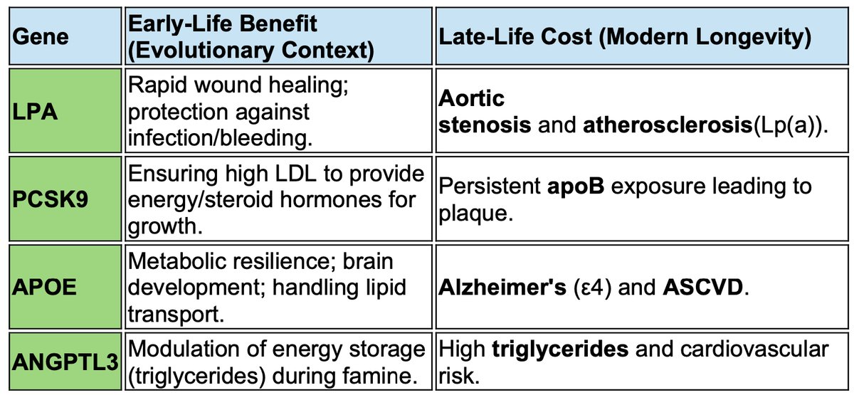 drpablocorral's tweet photo. 🧬 Antagonistic Pleiotropy

📍 Cholesterol genes were never meant to keep us alive at 80.
They were selected to get us to reproduction. 

📍 Evolution did not optimize human biology for cardiovascular longevity.
It optimized it for early survival, fertility, and metabolic resilience.

Genes such as APOE, LPA, PCSK9, and ANGPTL3 exemplify antagonistic pleiotropy:
👉 Early-life advantage (energy handling, immunity, tissue repair)
👉 Late-life cost (atherosclerosis, ASCVD, valvular disease)

📍 High LDL-C and elevated Lp(a) are not physiological defaults.
They are evolutionary trade-offs, tolerated because their toxicity manifests after reproductive age.

What modern preventive cardiology does is unprecedented in evolutionary terms:
👉 we intervene upstream, against genes that natural selection had no incentive to fix.

📍 This is where gene-editing therapies change the paradigm.
CRISPR-based and other gene-editing approaches targeting:
1️⃣ PCSK9
2️⃣ ANGPTL3
3️⃣ LPA
do not merely lower cholesterol. They rewrite evolutionary compromises.

For the first time, medicine is not compensating for biology —
it is correcting it at its genetic root.

The real question is no longer whether lifelong exposure to apoB is causal.

🤔 The question is:
How far are we willing to go in editing genes that evolution deliberately left imperfect?
1️⃣ Cardiovascular disease is not a failure of medicine.
2️⃣ It is the price of evolutionary success — and of unprecedented human longevity.
3️⃣ Gene editing may finally allow us to stop paying that price.

@society_eas 
@nationallipid 
@skathire 
@amitvkhera 
@JohnKastelein 
@Drlipid 
@EricTopol 
@PeterAttiaMD