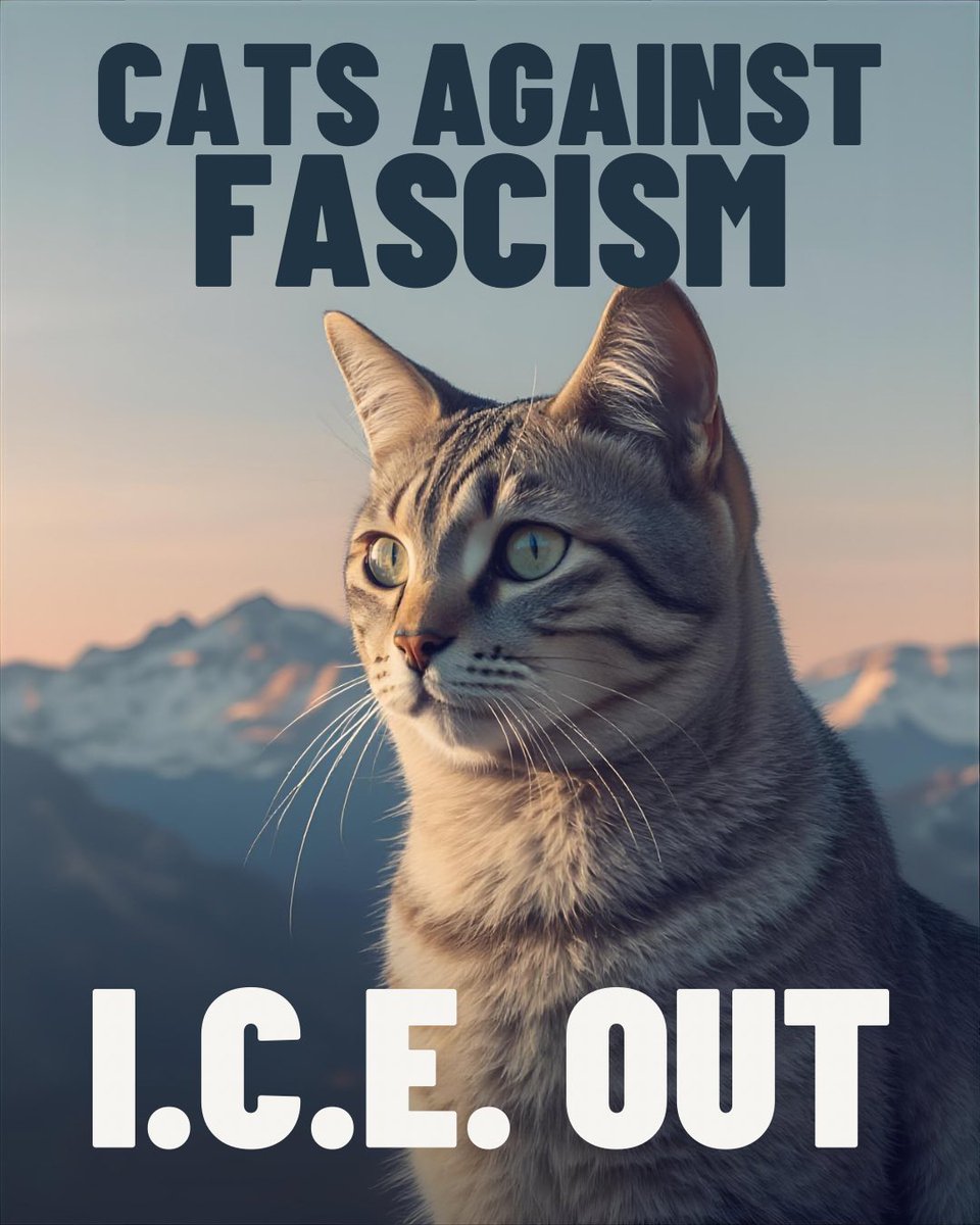 Plan Blue tweet media