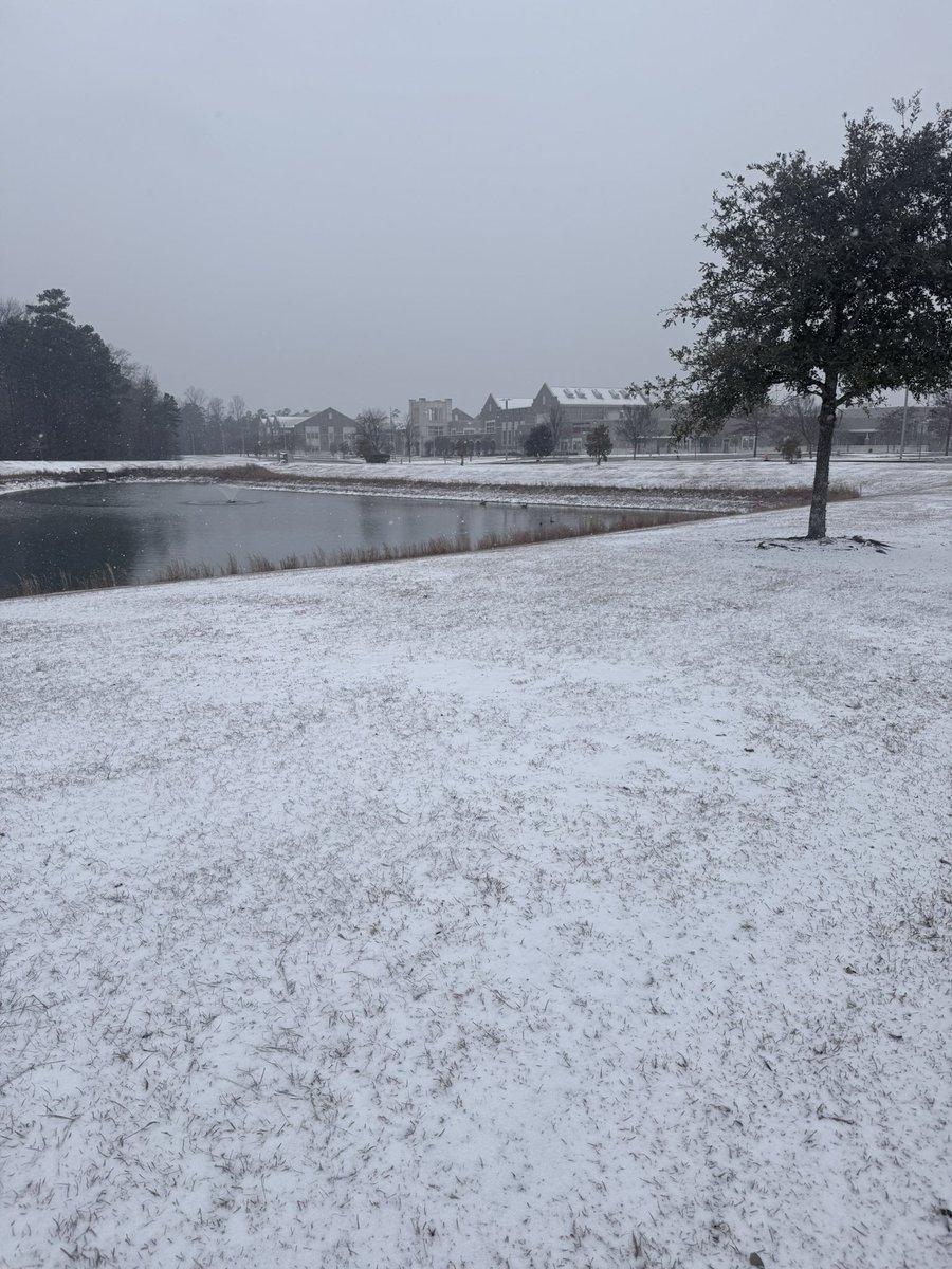 Westwood HS (SC) tweet media