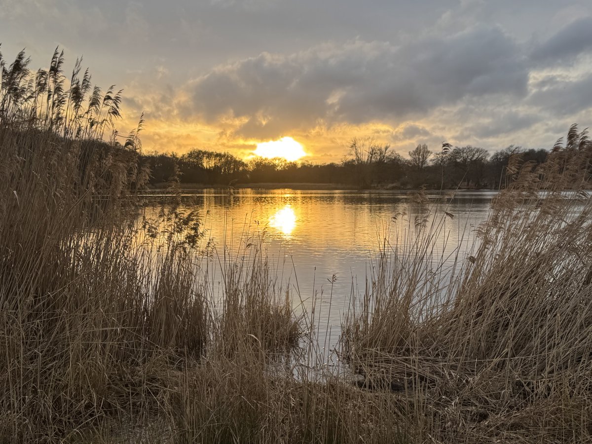 Rebecca Kortum tweet media