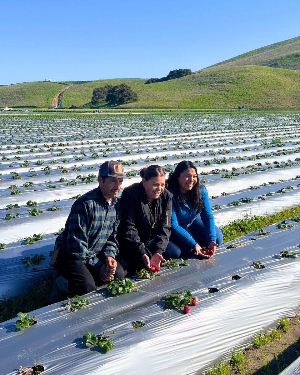 Conscious Kitchen tweet media