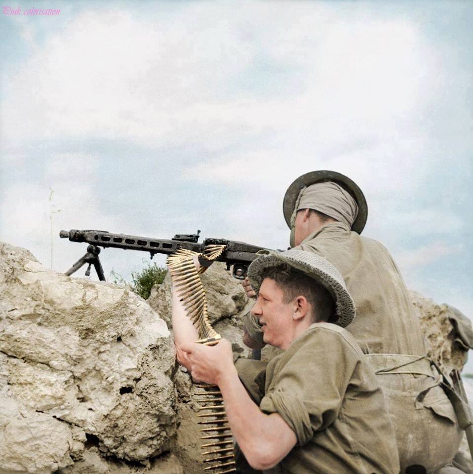 kaan_fox3✈️ 🇹🇷 tweet media