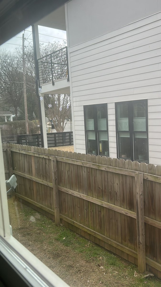 Most depressing snow storm of all time.