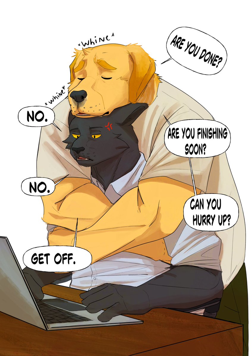 RokkieTheRock's tweet image. Clingy boy 🐶