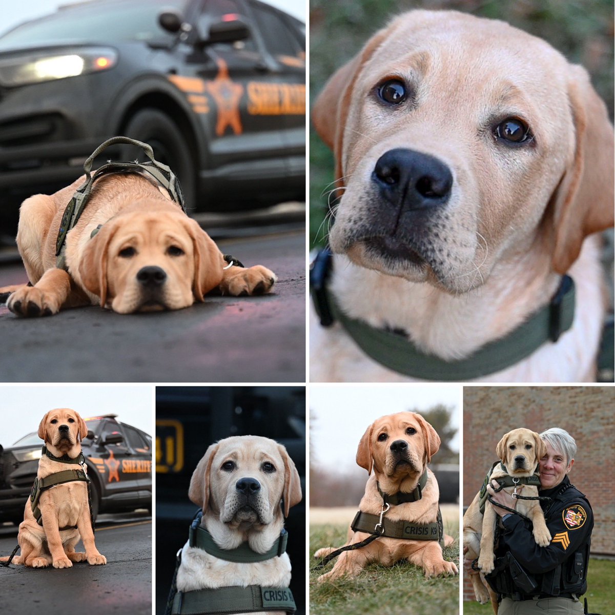 Darrah Metz tweet media