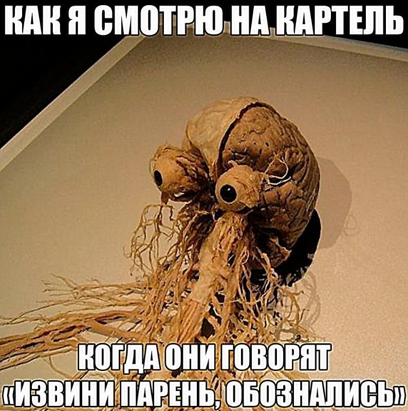 Спихопат с электрогитарой🐍 (@llafdrad4xcxk3e) on Twitter photo 