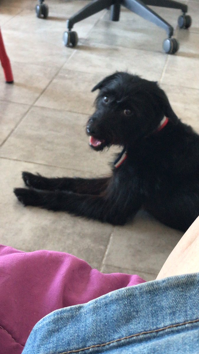 Orson tuvo su primer corte del 2026 💖