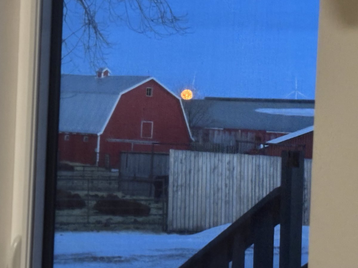 Good morning from Camden Cattle.