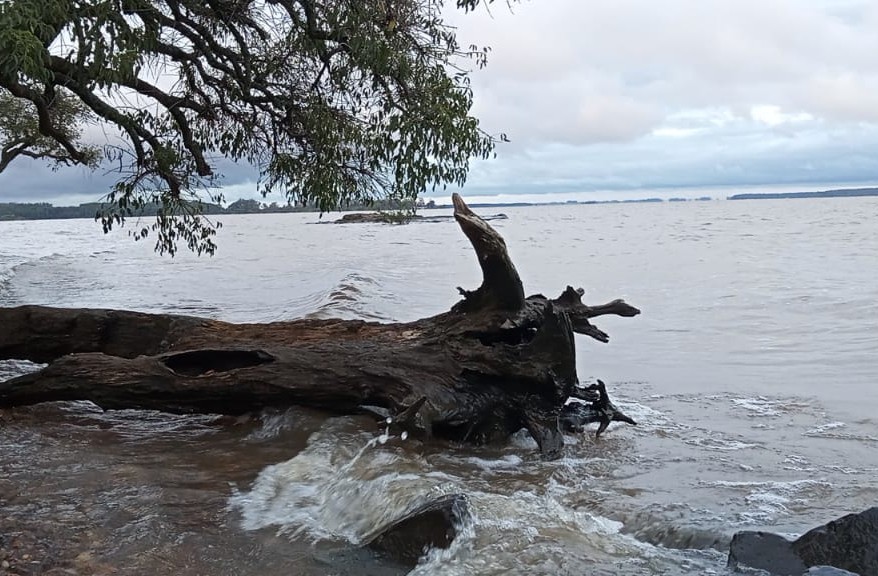 Para Escuchar
Entre Ríos, Concordia
Península Soler
Lago de Salto Grande
19.45 hs. 10 de Enero 2026
Registro Sonoro / Fotografía: Esteban Bernardo
sonidosderosario.com.ar/audio/entre-ri…