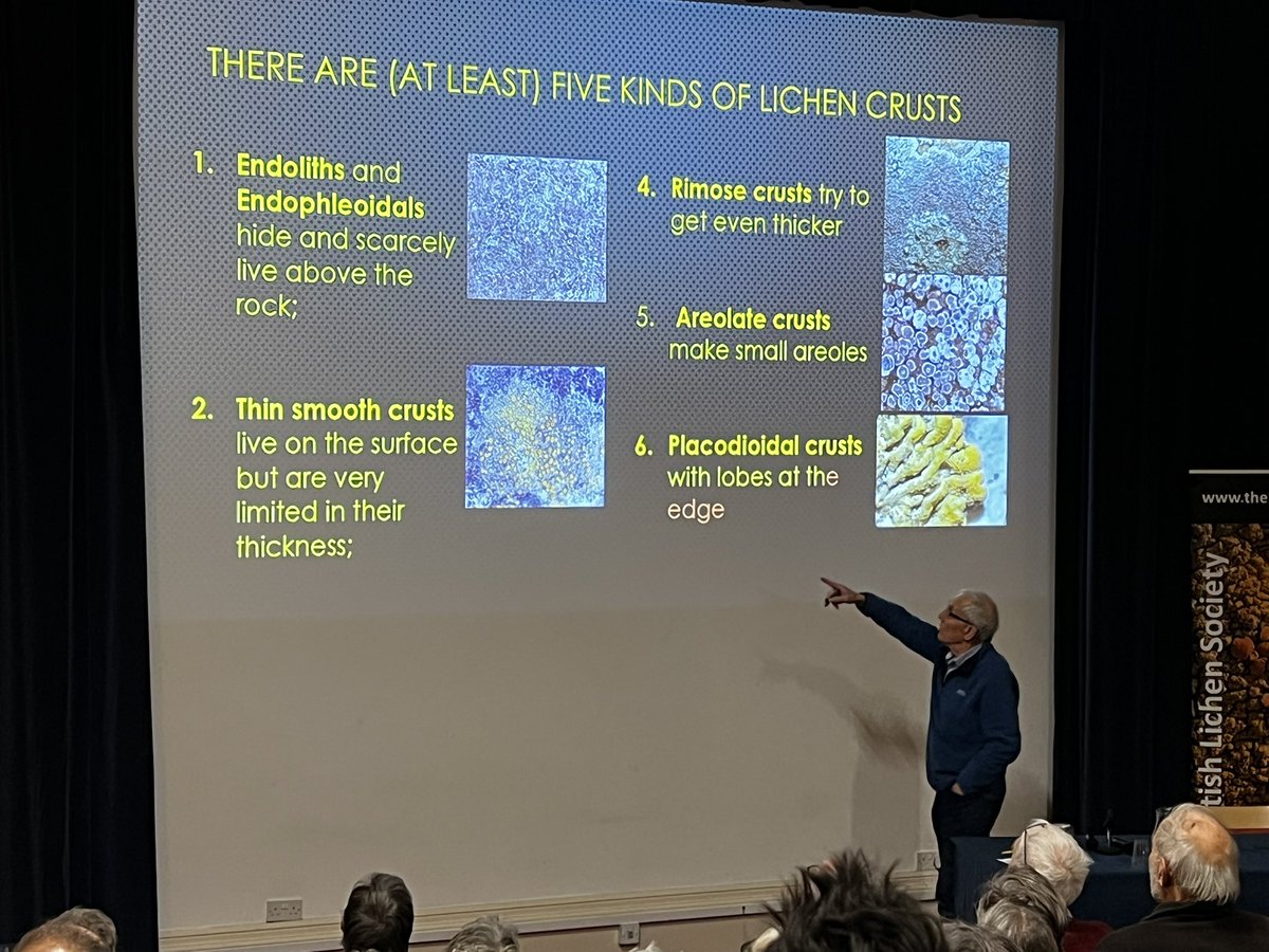 The British Lichen Society tweet media