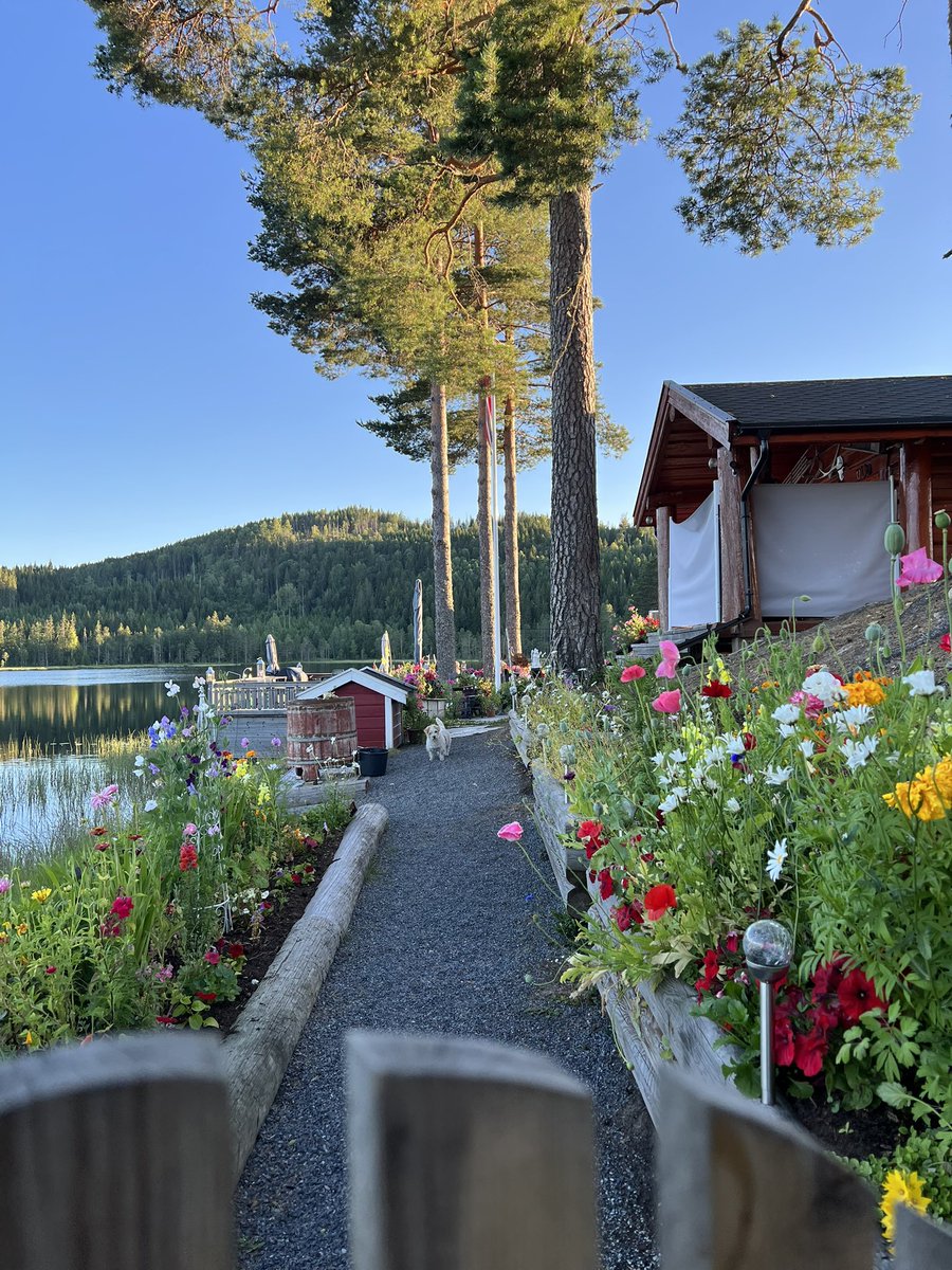 Bieordinary22's tweet image. Norwegian one 🫣
หนมค่ะ รักบ้าน(ไม่ได้)เกิด55555